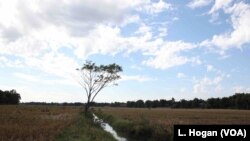 Nearly one-third of Myanmar’s land is considered by the government to be vacant, fallow or virgin land, amounting to more than 45 million acres.