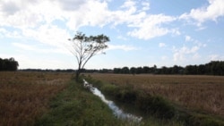 ကောင်းတာလုပ် မကောင်းတာကိုရှောင်