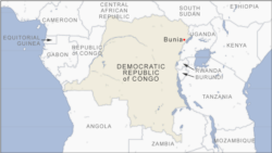DRC Prime Minister Pick Tied to Mineral-rich Province