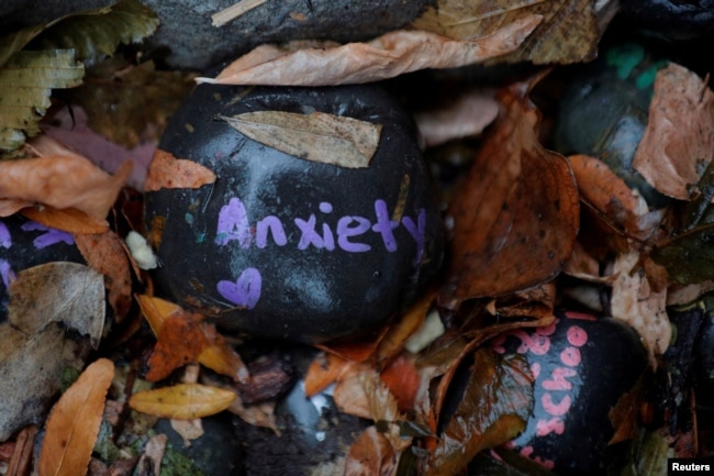 FILE - A stone with the word "Anxiety" forms part of the "COVID-19 Cairn," at Tufts Medical Center in Boston. (REUTERS/Brian Snyder/File Photo)