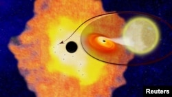 Twelve black hole low-mass binaries orbiting Sgr A* at the center of the Milky Way galaxy, appear in this illustration provided by Columbia University, April 5, 2018.