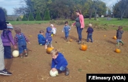 Pumpkin picking is a chance to learn about colors, shapes and numbers.