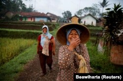 Para perempuan berbagi lelucon saat mereka berjalan ke sawah di desa Cikawao, Majalaya, Jawa Barat, 12 Oktober 2017. (Foto: REUTERS/Beawiharta)