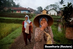 Para perempuan sedang berkelakar saat mereka berjalan ke sawah di desa Cikawao, Majalaya, provinsi Jawa Barat, 12 Oktober 2017. (Foto: REUTERS/Beawiharta)