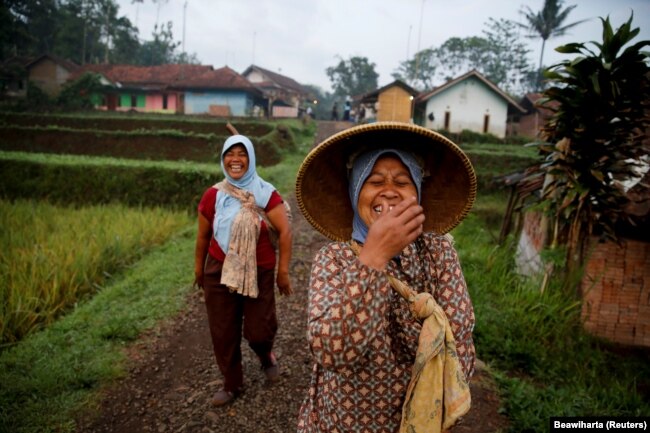 Para perempuan sedang berkelakar saat mereka berjalan ke sawah di desa Cikawao, Majalaya, provinsi Jawa Barat, 12 Oktober 2017. (Foto: REUTERS/Beawiharta)
