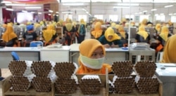 Para buruh perempuan di sebuah pabrik rokok di Yogyakarta. (Foto: VOA/ Nurhadi)