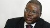 Biti: Zanu PF to Blame for Zimbabwe's Failure to Qualify for Debt Relief