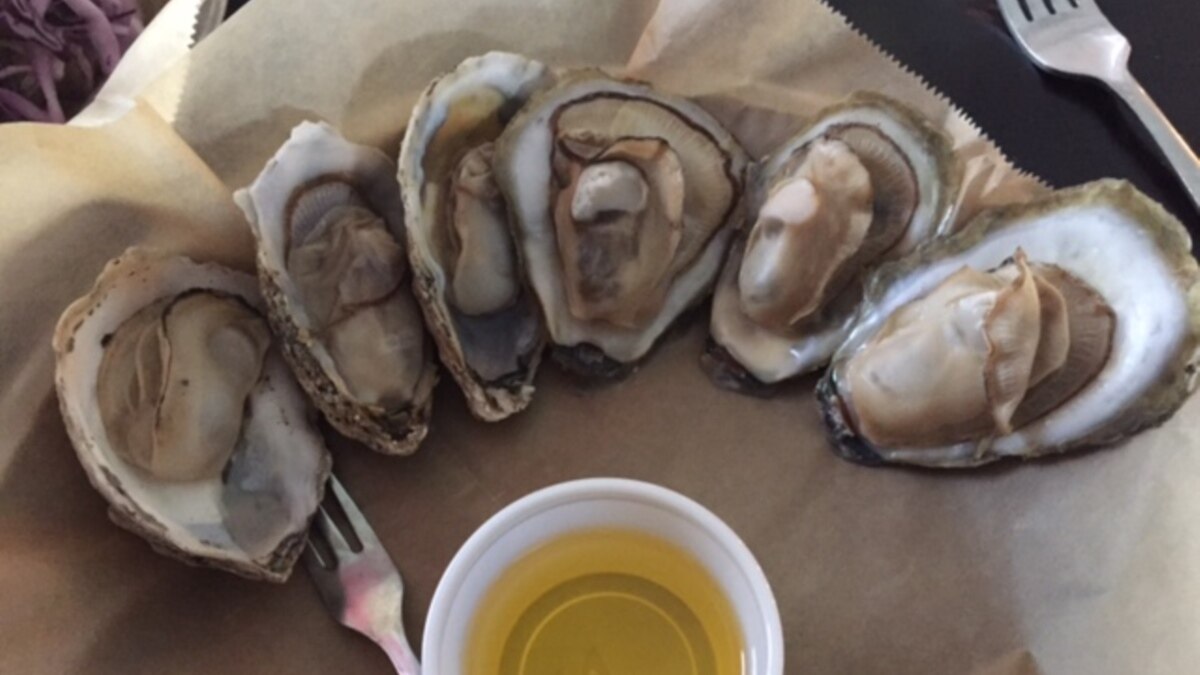 Oyster English Blog New Site Updates