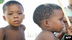 İnsanoğlunun Kökleri Afrika'nın Güneyine Dayanıyor
