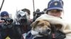 Động đất ở Nhật Bản: Chó thất lạc 3 tuần về với chủ