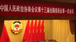 中国政协开会 修宪及任期制话题敏感