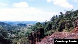  In the Atlantic Forest in Bahia, fire and deforestation of hill slopes are forbidden by Brazilian law, but law enforcement is ineffective. (Credit: IESB archive)