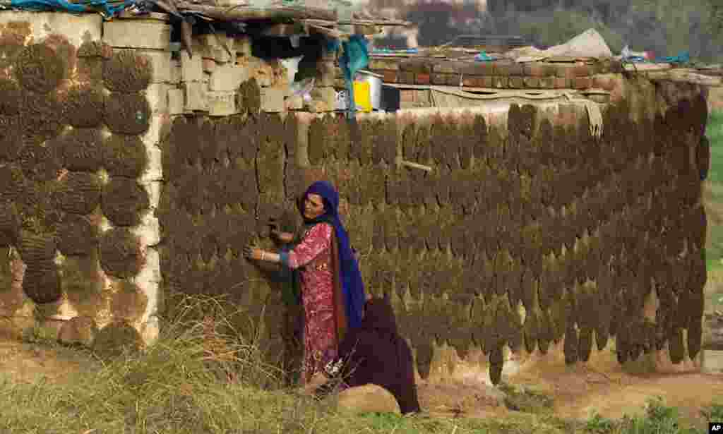 Dân làng Pakistan chuẩn bị những bánh phân bò ở ngoại ô Islamabad. Bánh phân bò nhiên liệu phổ biến dùng để nấu ăn ở khu vực nông thôn, một nguồn nhiên liệu chính trong nước để thay thế cho củi.