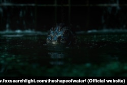 The Shape of Water