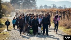 افغان‌ها پس از سوری‌ها دومین گروه بزرگ پناهجویان تازه وارد به اروپا را تشکیل می‌دهند