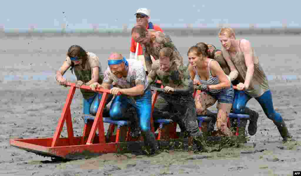 Participants of the mudflat sled championships push their sled through the Wadden sea in Upleward, northern Germany.