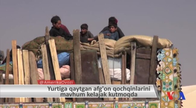 Yurtiga qaytgan afg'on qochqinlarini mavhum kelajak kutmoqda