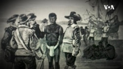 1619非奴系列(5): 美国蓄奴时代的开始