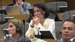 Li Parlemana Ewrupayê Rewşa Jinên Kurd û Siberoja Kurdistanê Hate Gotûbêjkirin