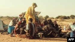 FILE - Displaced Sudanese, who fled the Zamzam camp, gather near the town of Tawila in North Darfur on Feb. 14, 2025. On Feb. 24, 2025, Doctors Without Borders halted its operations in the camp due to an escalation of fighting in the area. 