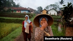 Para perempuan terlihat sedang tertawa saat mereka berjalan ke sawah di Desa Cikawao, Majalaya, Provinsi Jawa Barat, 12 Oktober 2017. (Foto: REUTERS/Beawiharta)