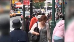 اخبار شامگاهی