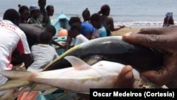 Pescadores, São Tomé e Príncipe