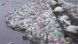 Plastics in Oceans: More Damaging Than Climate Change