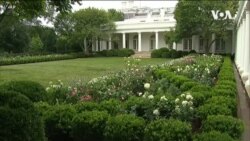 白宮玫瑰園改建完工 第一夫人主持開園儀式