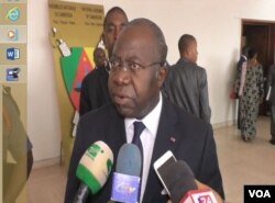 FILE - Georges Elanga Obam, Cameroon's Minister of Decentralization. (Moki Edwin Kindzeka/VOA)
