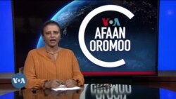 Tamsaasa Guyaadhaa Guyyaa