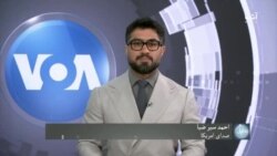 پر افغانستان او سیمه د حماس او اسرائیل د جګړې اغیزې - حایل
