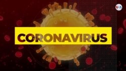 ¿Cuáles son los mitos y verdades del coronavirus? Parte 3