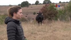 Գյուղատնտեսության զարգացման գործում անհատ գյուղատնտեսների գիտելիքների կիրառումը