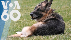 Новости США за минуту - 19 июня 2021