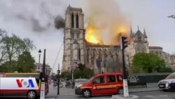 کاردانەوەکان لەسەر سوتانی کڵێسای نۆتردام لە پاریس