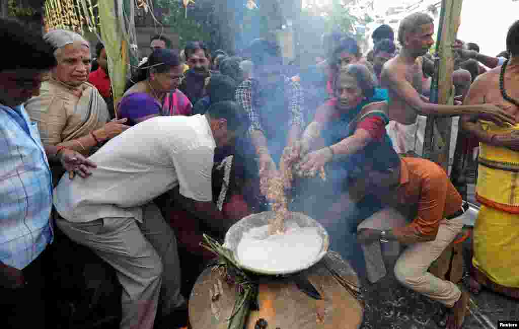 پونگل کی تیاری میں مرد و خواتین مشترکہ طور پر حصہ لیتے ہیں۔ پونگل سری لنکا اور بھارت کے ساتھ ساتھ دنیا بھر میں جہاں تامل آباد ہیں وہ بغیر کسی اختلاف کے اسے مناتے ہیں۔