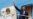 Obama Seeks to Reassure NATO Allies on Ukraine