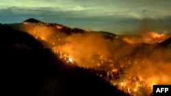 Api terus membakar Hutan Nasional Angeles di Los Angeles, utara Azusa, California, 17 September 2020. (Foto: AFP/Kyle Grillot)