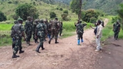 Combats meurtriers dans les Hauts plateaux du Sud Kivu