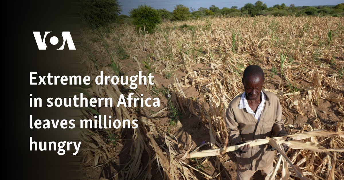 Extreme drought in southern Africa leaves millions hungry