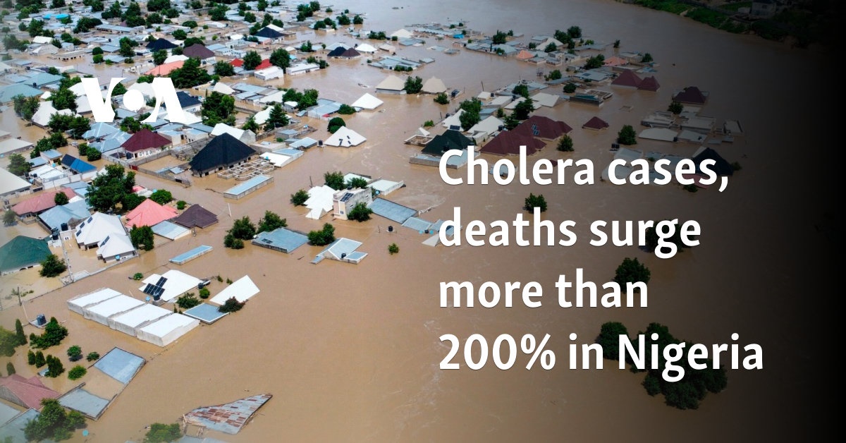 Cholera cases, deaths surge more than 200% in Nigeria