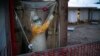 Epidémie Ebola : un nouveau cas enregistré à Beni après 29 jours d'accalmie