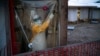 WHO: Ebola di Kongo Masih Darurat Global