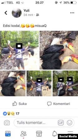 Screen shoot facebook yang memperlihatkan dua burung Julang Sulawesi yang mati akibat Perburuan Liar di Kolonodale, Morowali Utara Sulawesi Tengah. (Foto: Screenshot-Sosmed)