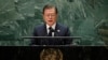 문재인 대통령, 남북한 산림협력 다시 제안...전문가들 "북한 수용 가능성 희박"