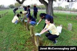 In this March 16, 2016 photo, Ohio State University students Kayla Devan, Brianna Brown and other volunteers scrub gravestones at Chalmette National Cemetery in Chalmette, Louisiana.