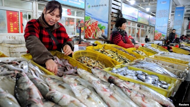 资料照:中国江苏省连云港的一个海鲜市场。(2015年11月10日)