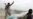 Afghan Forces Claim Successes Against Taliban and IS
