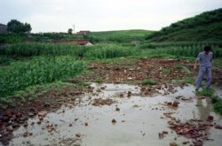 지난 1996년 8월 북한 은파군에서 폭우와 홍수에 무너져 떠내려온 건물 잔해가 농지를 덮었다.